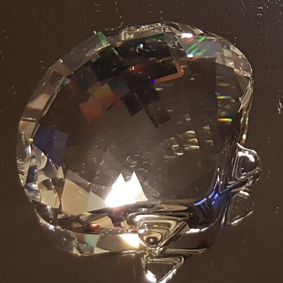 🇦🇹 SWAROVSKI Shell Paperweight - Picture 4 of 16